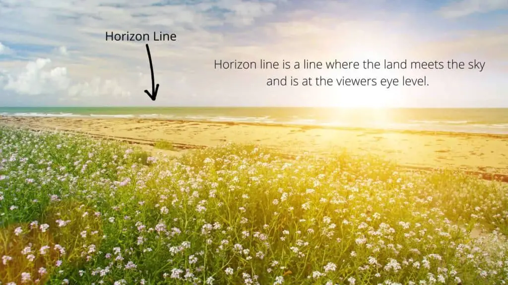 Sky and beautiful flowers on ground and sea at background and horizon line where sky meets the sea. Words explains what horizon line is.