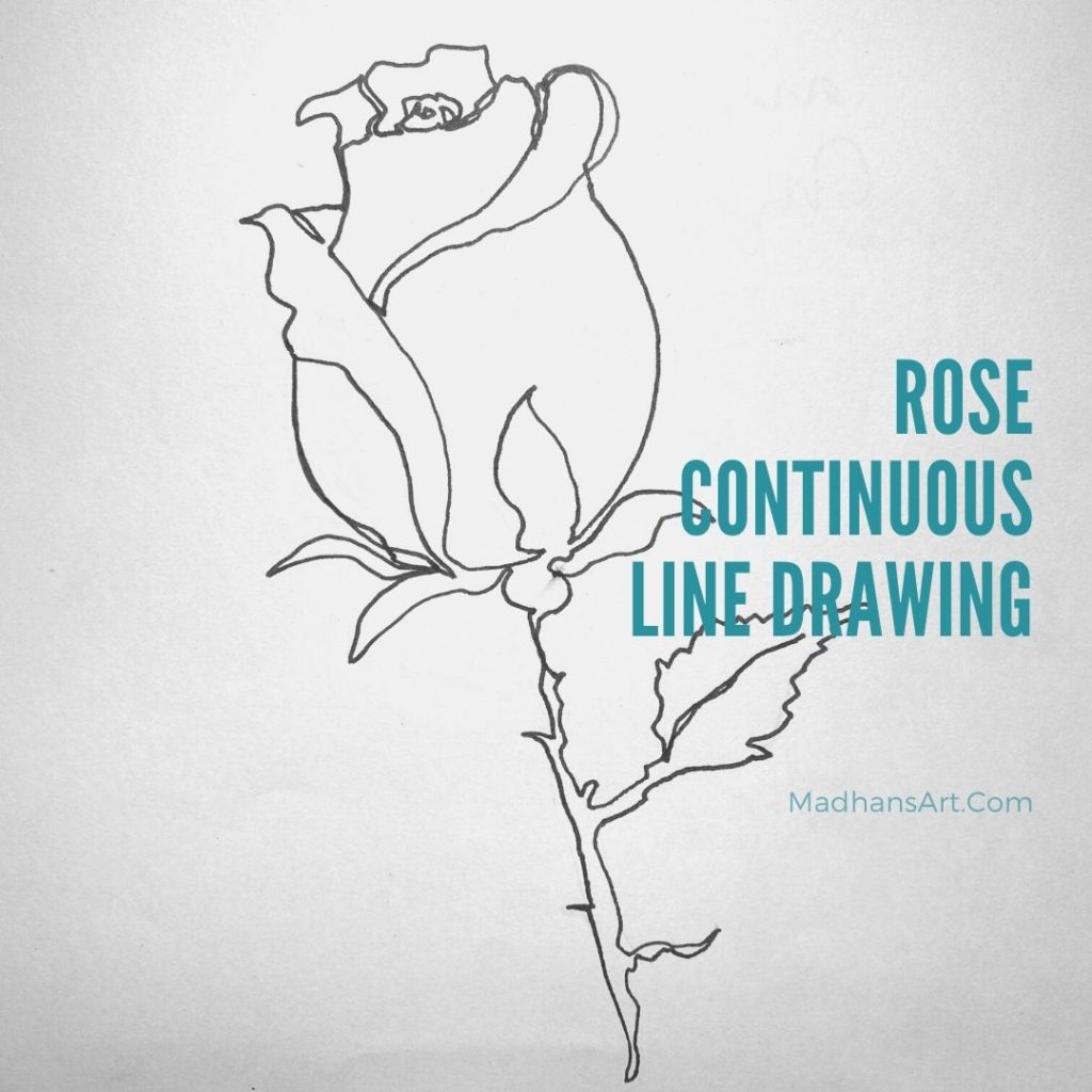 simple rose continous line drawing